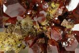 Deep Red Vanadinite Crystal Cluster - Large Crystals #368106-1